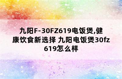 九阳F-30FZ619电饭煲,健康饮食新选择 九阳电饭煲30fz619怎么样